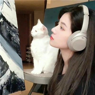 结婚白皮书